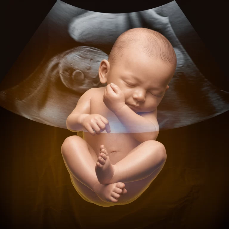 3D Ultrasound Scans for Babies: Exploring the Benefits and Types of Ultrasound Technology